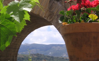 Alleine in den Urlaub – So gelingt’s